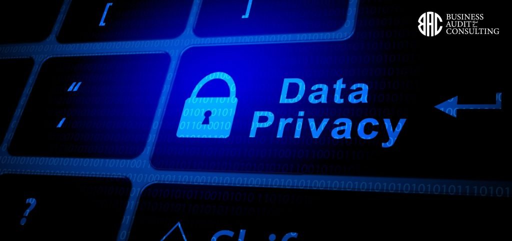 Importancia del Régimen de Protección de Datos Personales en las Empresas