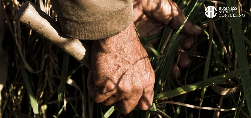 IESS planea desinvertir $1.569 millones del Biess en 2025 para pensiones, salud y seguro campesino 1 ESS planea desinvertir $1.569 millones del Biess en 2025 para pensiones, salud y seguro campesino