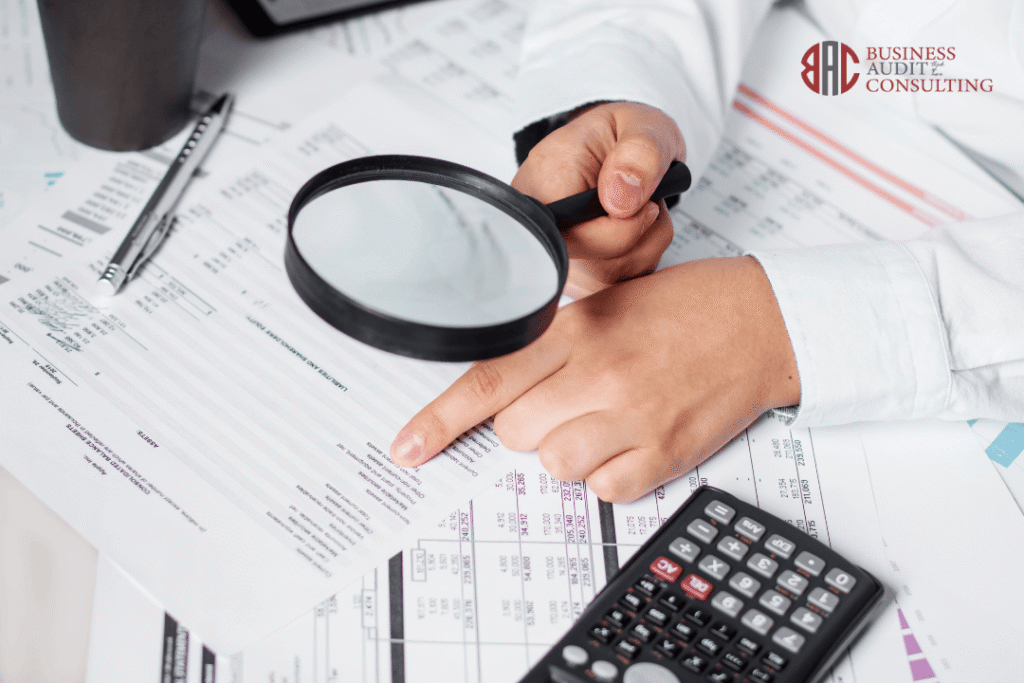 Aspectos clave para cumplir con la auditoría del 2025 1 Aspectos clave para cumplir con la auditoría del 2025